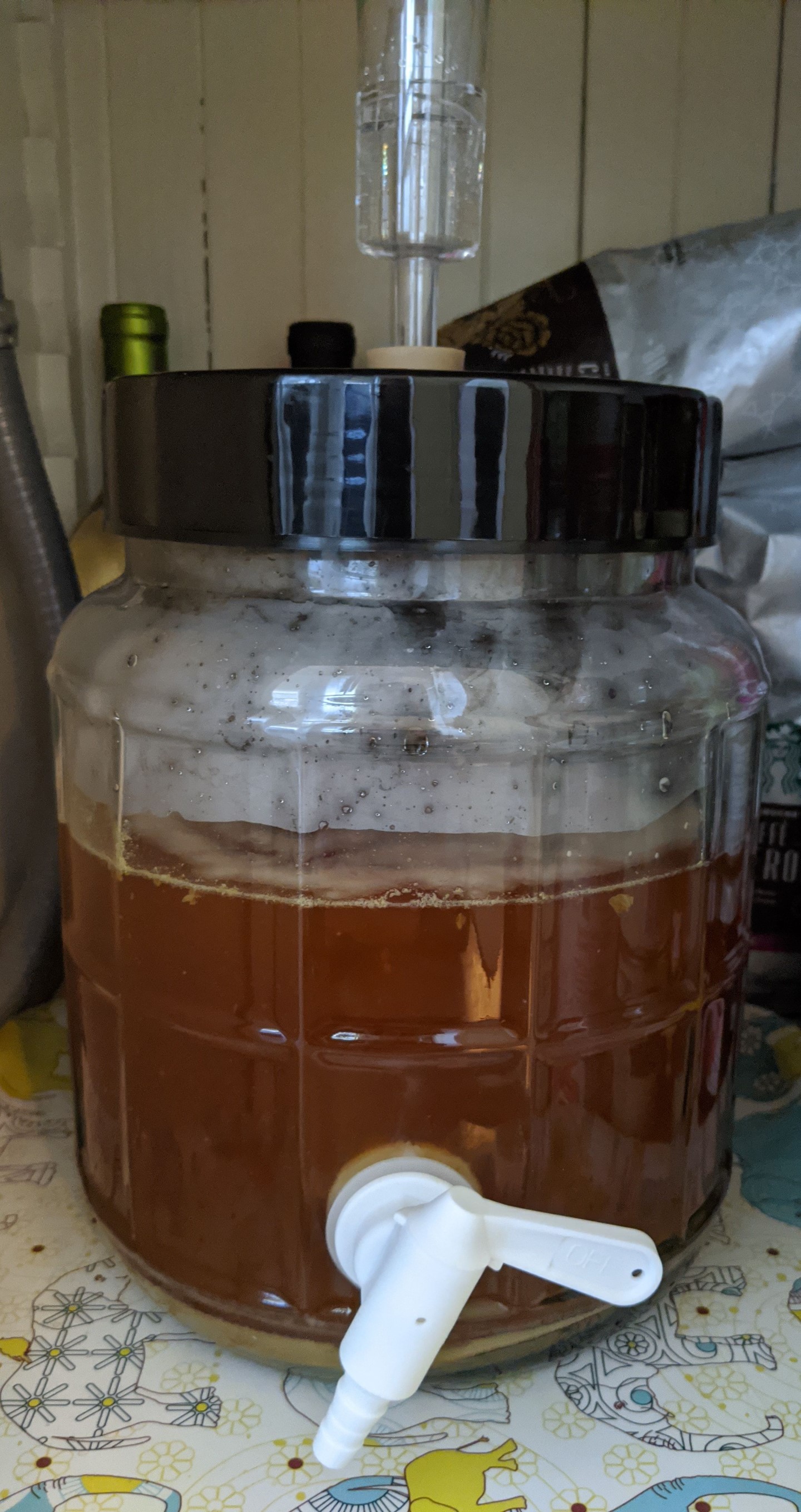 A very small glass beer fermenter full of brown liquid