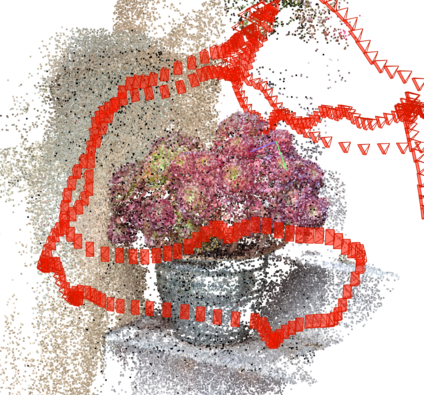 Pointcloud image of a aeonium in a pot